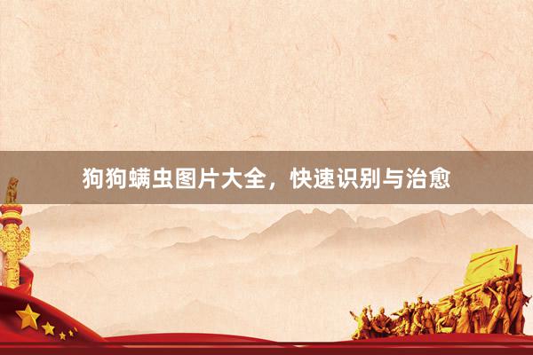 狗狗螨虫图片大全，快速识别与治愈